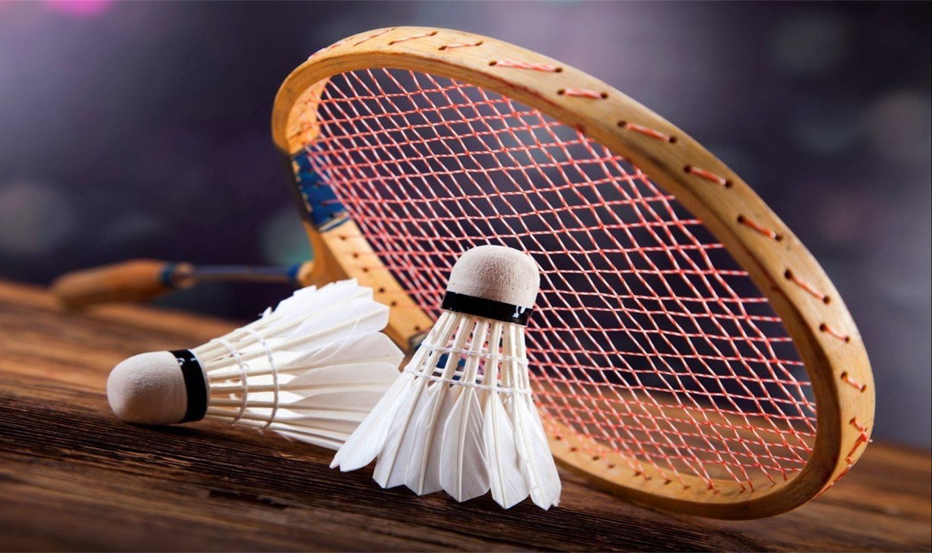 能与维持高 能与维持高