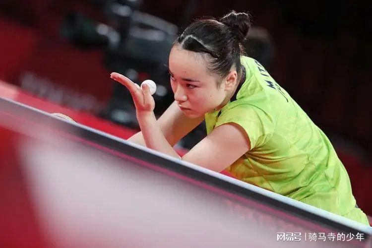 主题可以概 主题可以概